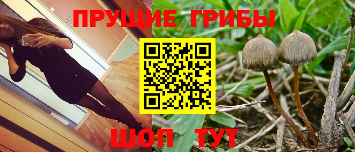 Псилоцибиновые грибы мицелий  продажа наркотиков  Фурманов  Вход с VPN 