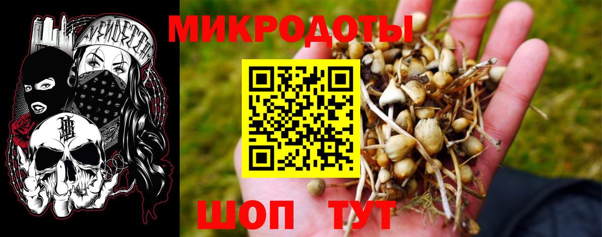 Галлюциногенные грибы прущие грибы Фурманов
